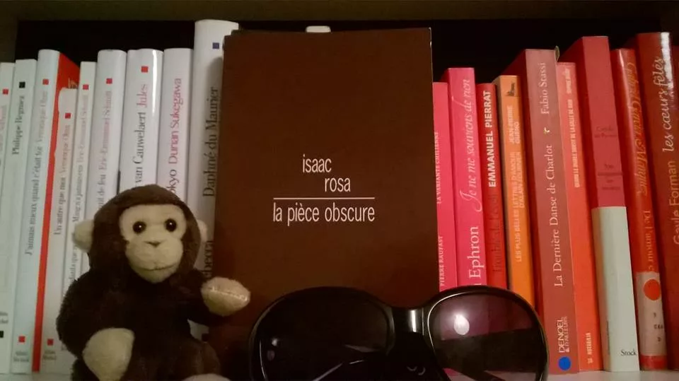 La pièce obscure d’Isaac Rosa