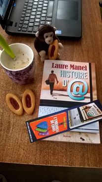 Histoire d'@ de Laure Manel