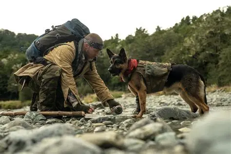 cinéma : Heart of the beast